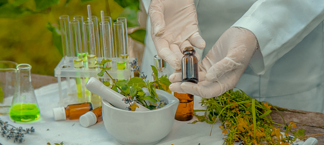 Imagem referente ao blog: O que são fitoterápicos e como eles funcionam no corpo?